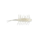 COIKE SHRIMP MEDIUM