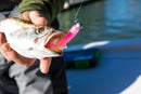 Wave Tail Grub 3"
