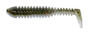 POCKET TAIL MINNOW