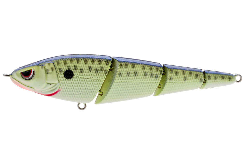 SSS105CMT_SashimmySwimmer_Cell