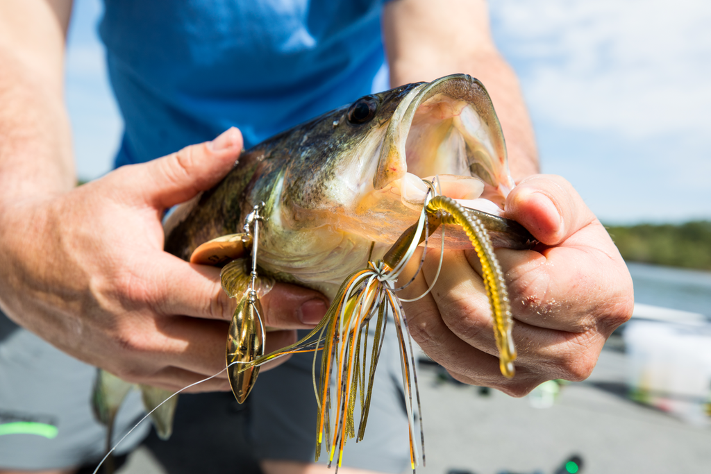 Best Spinnerbait Fishing Tips for Bass in Windy Conditions – SPRO ...