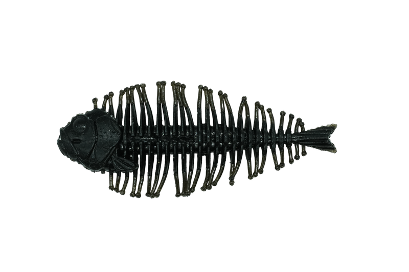 GEELACANTH – SPRO Sports Professionals