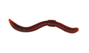 DENDROBAENA