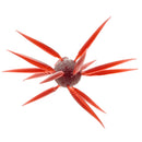 COIKE FISH ELASTOMER