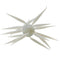 COIKE FISH ELASTOMER L
