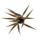 COIKE FISH ELASTOMER