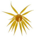 COIKE FISH ELASTOMER