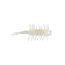 COIKE SHRIMP MEDIUM