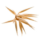 COIKE FISH ELASTOMER