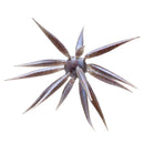 COIKE FISH ELASTOMER