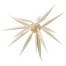 COIKE FISH ELASTOMER