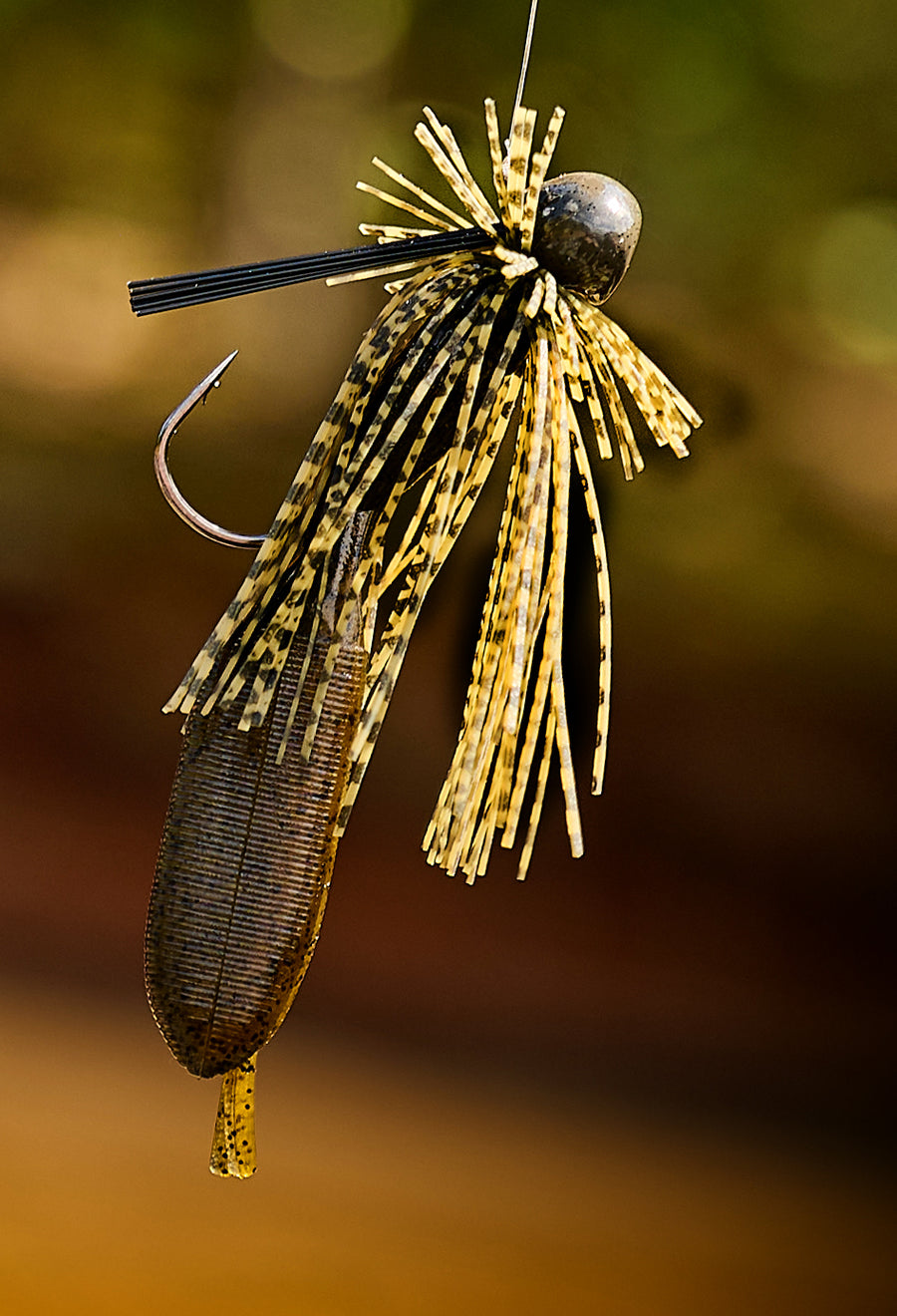 MarcFrazier_GunterOvalAndEscap