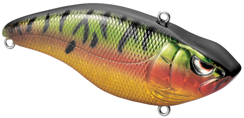 ARUKU SHAD 60