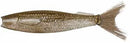 BRUSH TAIL SHAD 4"