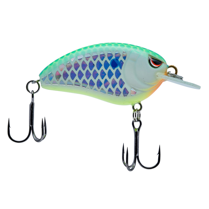 citrus colored fishing lures Rebel Raider CITRUS SHAD Custom Painted Fishing