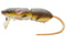 RAT 50 REPLACEMENT TAIL