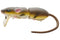 RAT 50 REPLACEMENT TAIL