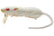 RAT 50 REPLACEMENT TAIL