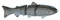 SPRO Swimbait 80