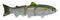 SPRO Swimbait 80