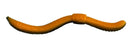 DENDROBAENA