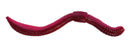 DENDROBAENA