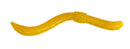 DENDROBAENA