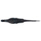 Lady Balance 5.8" 6pk