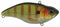 ARUKU SHAD 60