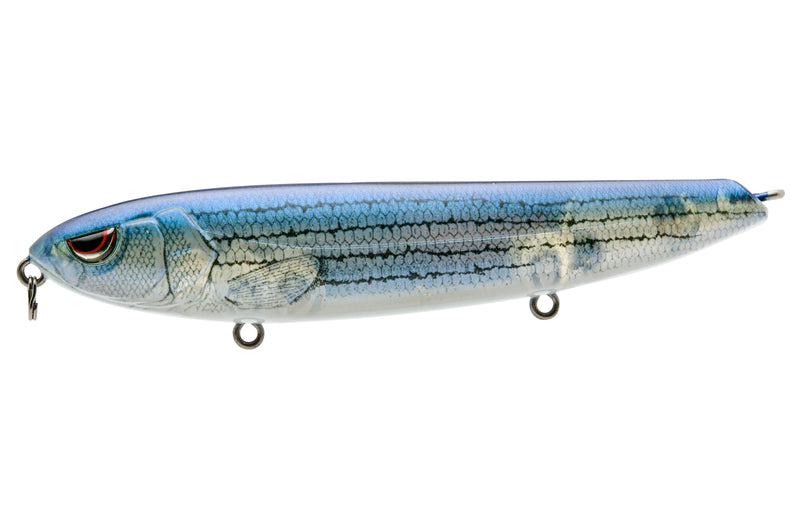 Blue Back Herring Gold/Nickel