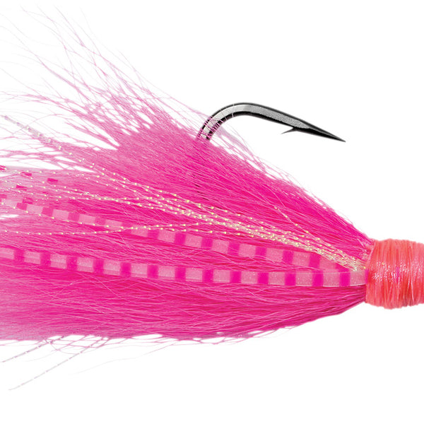 SPBJZCP_ZebraCrazyPink_600x600
