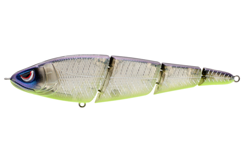 SASHIMMY SWIMMER 125