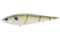 SASHIMMY SWIMMER 125