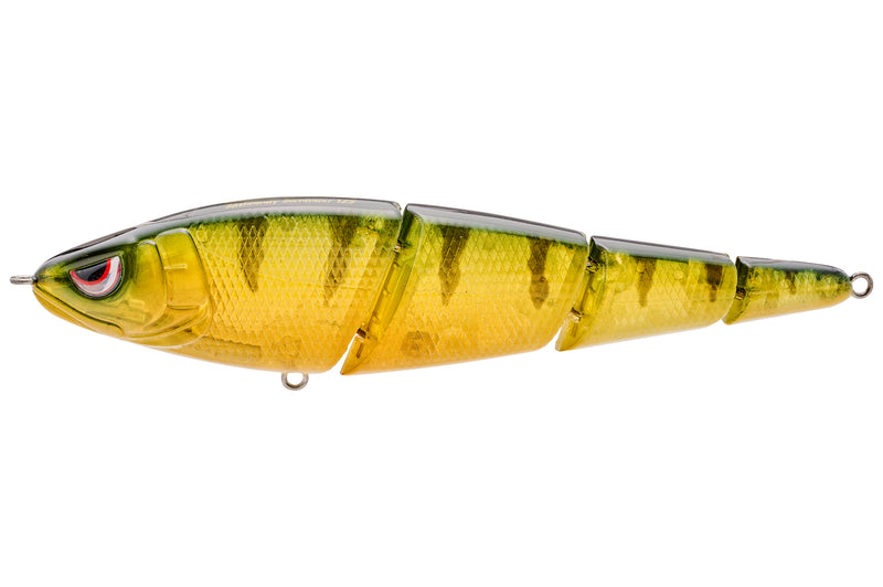 SASHIMMY SWIMMER 125