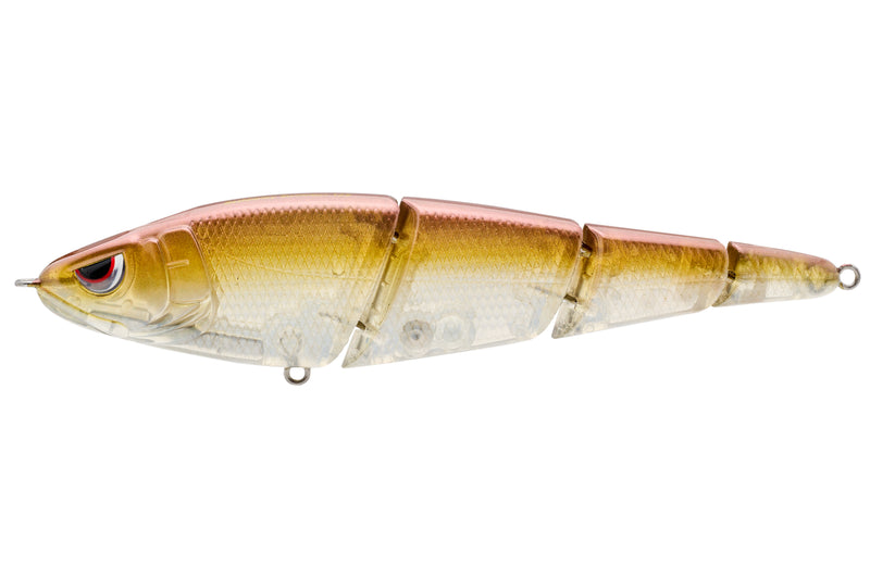 SASHIMMY SWIMMER 125