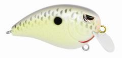 FAT JOHN 50