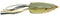 BRONZEYE SHAD 65